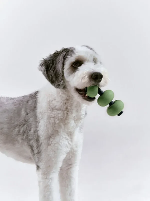 Haiwan Dango (Olive Green)