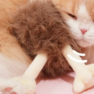 Haiwan Whistling Ostrich Catnip Toy