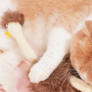Haiwan Whistling Ostrich Catnip Toy